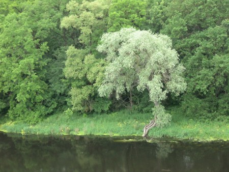 Річка Сіверський Дінець