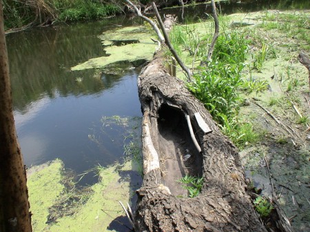 Річка Сіверський Дінець