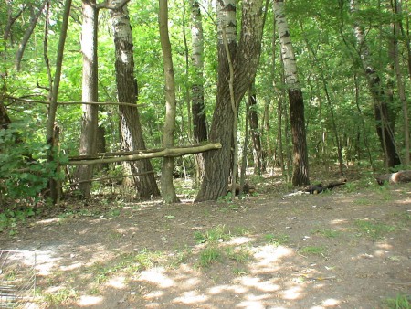 На березі річки